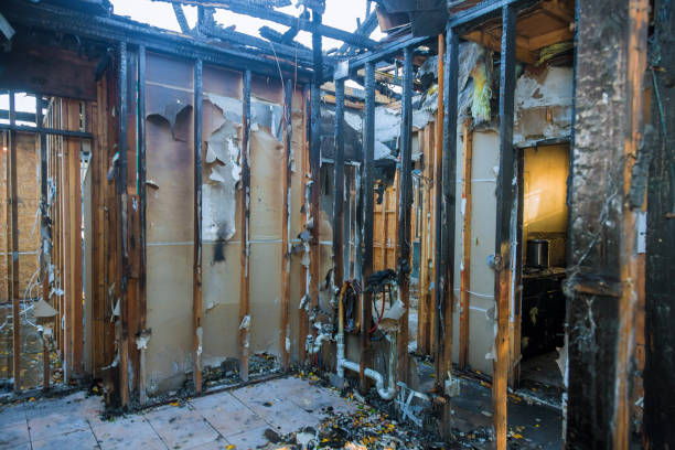 Professional Fire Damage Removal technician working in Green Valley, MD